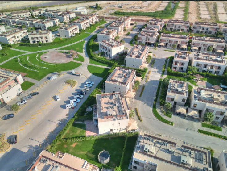 Canary Vista