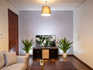 Apartment - 1 BEDROOM - Vives 2 